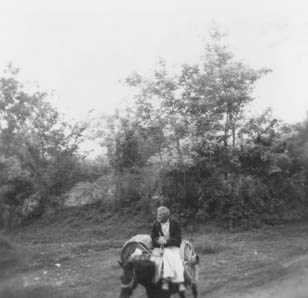 eika image